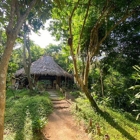 Hostal Paraiso Tayrona Kogui Los Naranjos Exterior foto